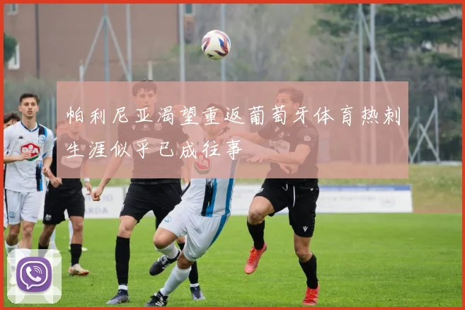帕利尼亚渴望重返葡萄牙体育热刺生涯似乎已成往事