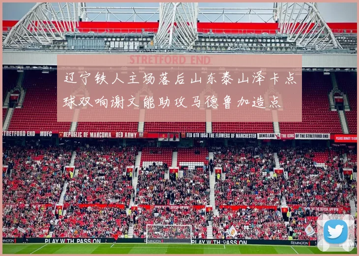 辽宁铁人主场落后山东泰山泽卡点球双响谢文能助攻马德鲁加造点